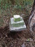 image of grave number 345914